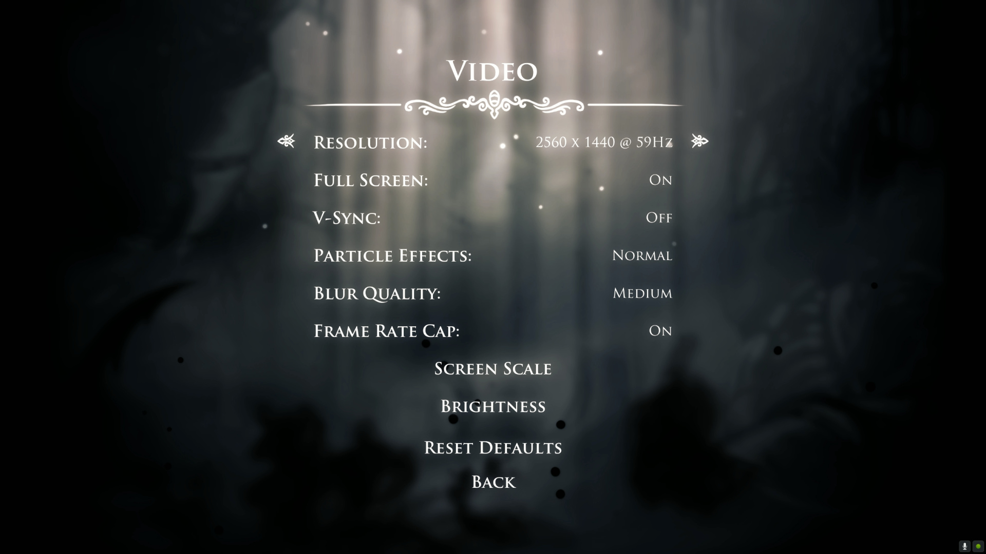 Settings display di Hollow Knight