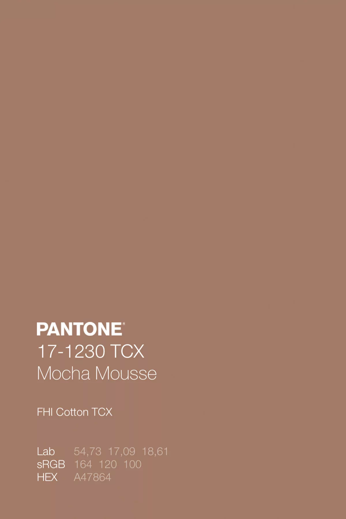 Pantone Mocha Mousse 17-1230, colore dell'anno 2025: marrone caldo e avvolgente